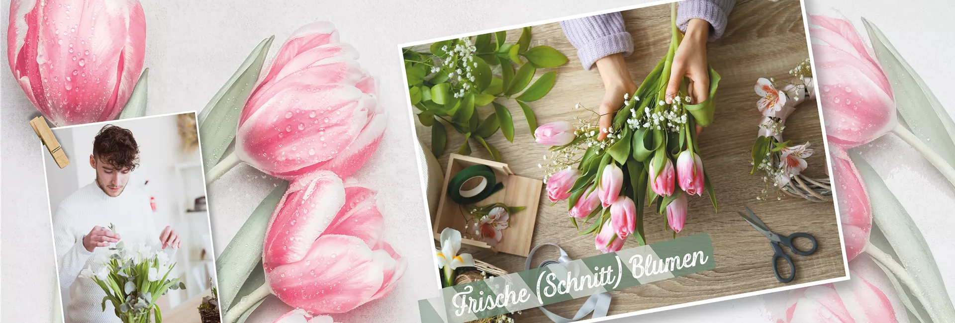 1A Garten Krauss Pflanzen aus der Oberpfalz