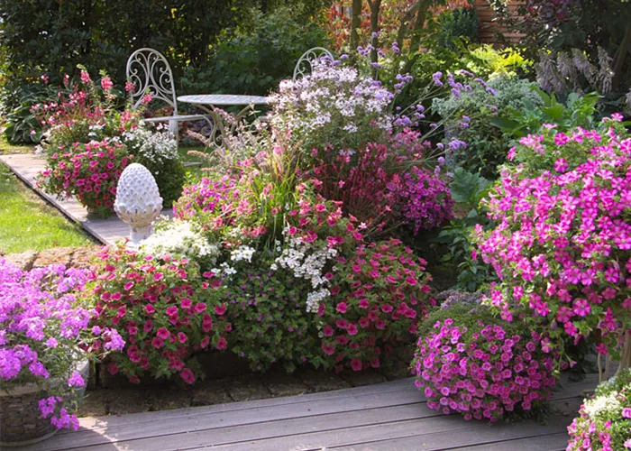 terrasse-pflanzen-pink[1].jpg
