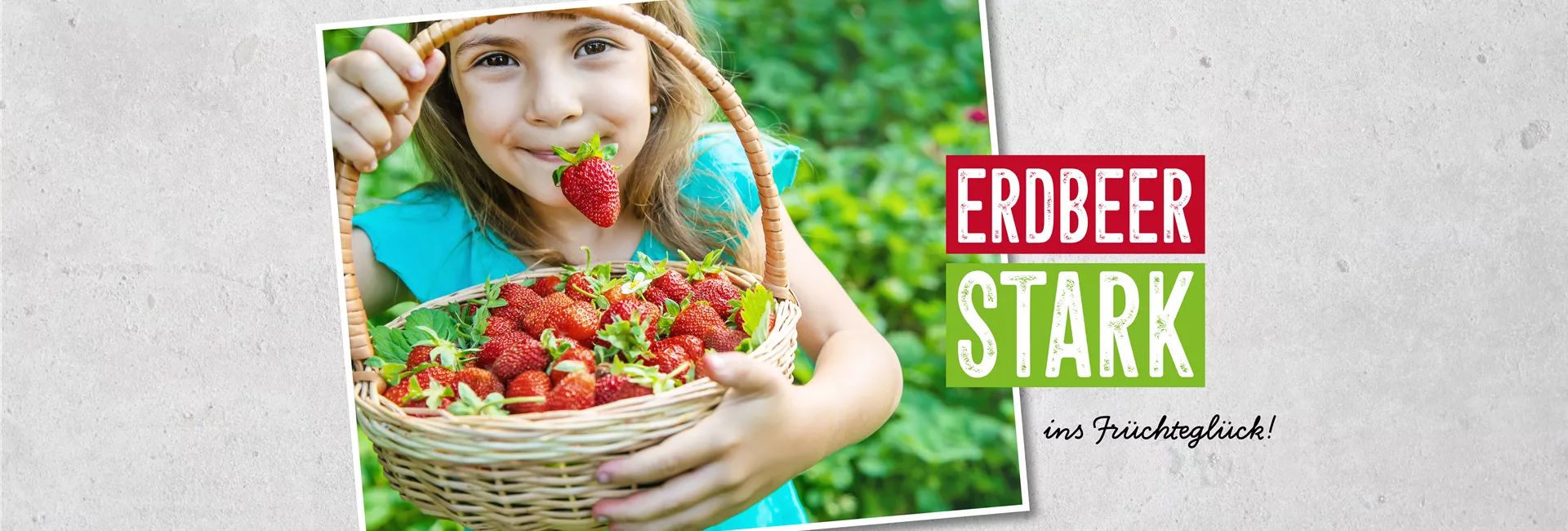 1A Garten Krauss Pflanzen aus der Oberpfalz