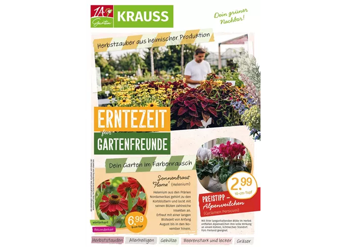 Beilage Herbst