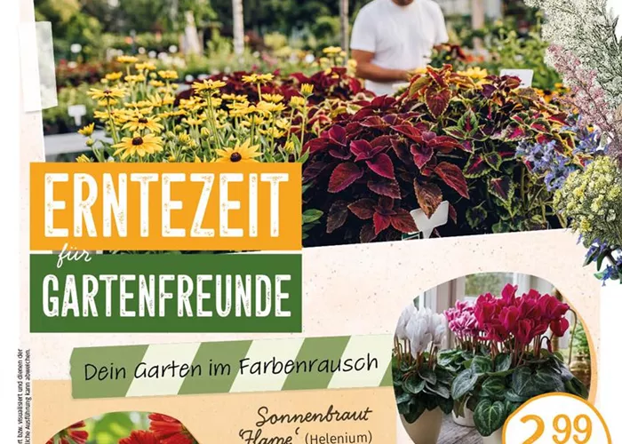 Beilage Herbst