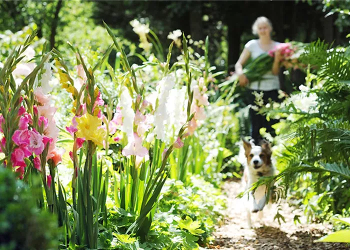 Die schönsten Blumen kommen aus dem eigenen Garten