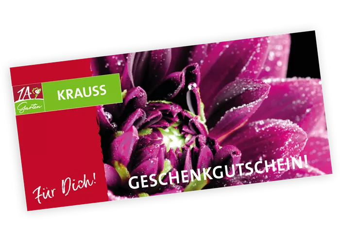 Gutschein Rosen