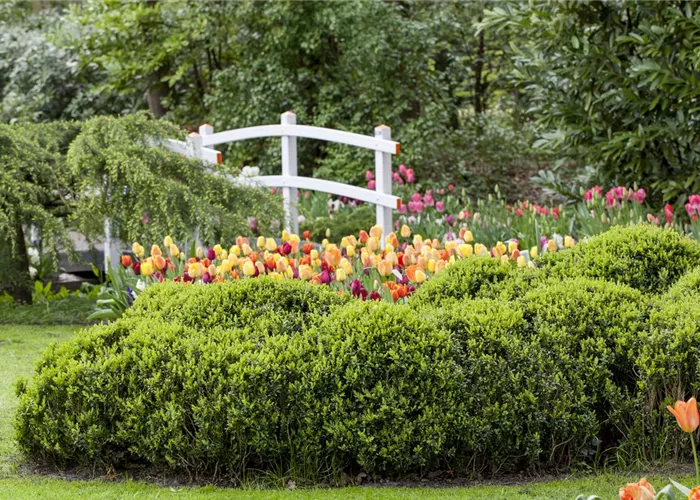 Eine Holzbrücke selber bauen