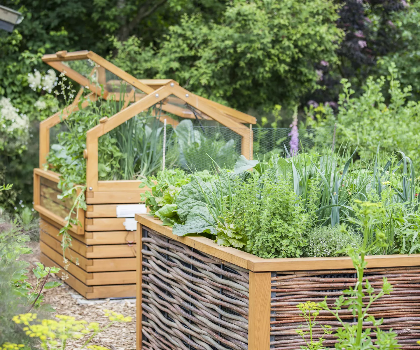 Zu viele Gartenabfälle Zu viele Gartenabfälle